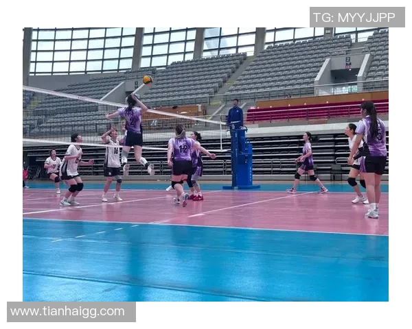 上海排球队的整体压制策略解析与深度剖析排球竞技的胜利之道