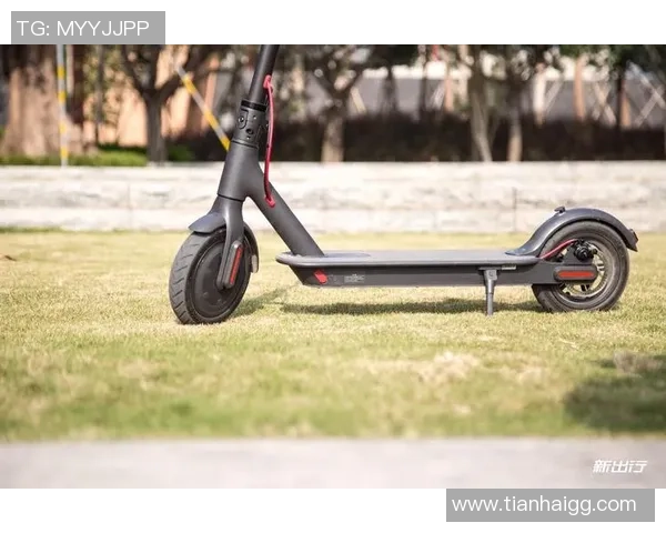 南京滑板队的区域防守策略解析与滑板热点的深度探讨 南京滑板队的区域防守策略解析与滑板热点的深度探讨