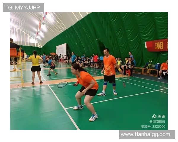 南京羽毛球队的整体压制解析与深度剖析羽毛球竞技的魅力与挑战