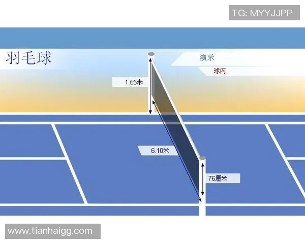 成都羽毛球队技术对比深度解析与发展趋势探讨