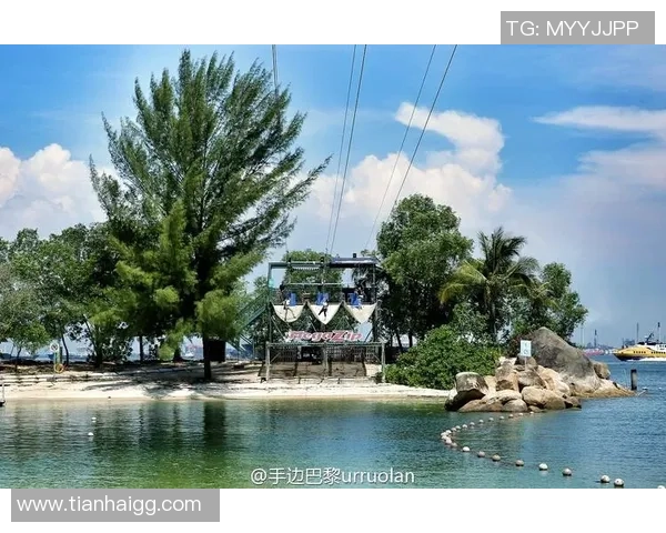 李敏独家分享极限运动心得与技巧助你突破自我极限挑战极限运动的乐趣与安全性