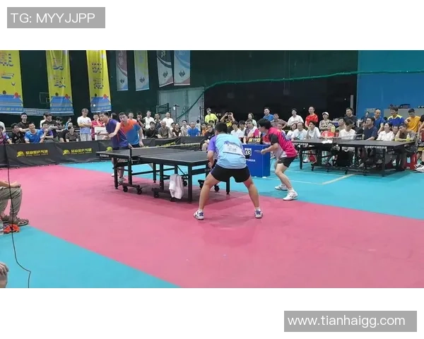 陈磊独家分享乒乓球技巧与心得助你提升球技的全面指南